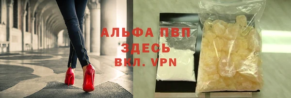 прущие грибы Верхнеуральск