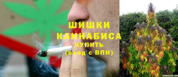 прущие грибы Верхнеуральск
