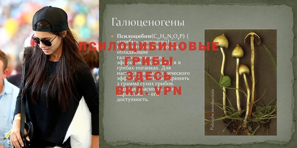 первитин Верея