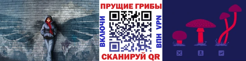 где можно купить   Улан-Удэ  Псилоцибиновые грибы мухоморы 